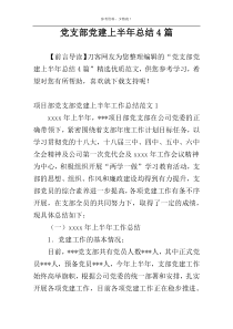 党支部党建上半年总结4篇
