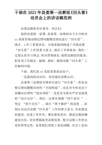 干部在2023年县委第一巡察组《回头看》动员会上的讲话稿范例