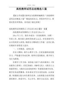 高校教师试用总结精选5篇