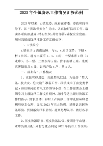2023年全镇备汛工作情况汇报范例