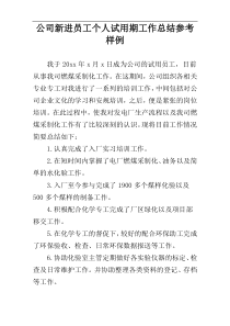 公司新进员工个人试用期工作总结参考样例