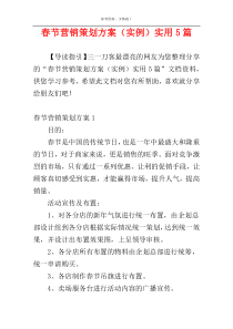 春节营销策划方案（实例）实用5篇