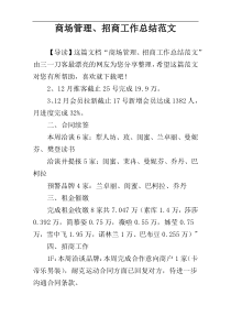 商场管理、招商工作总结范文
