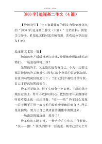 [800字]追逐高二作文（4篇）