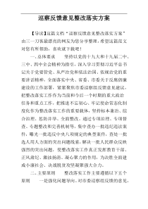 巡察反馈意见整改落实方案