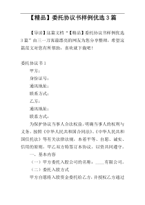 【精品】委托协议书样例优选3篇