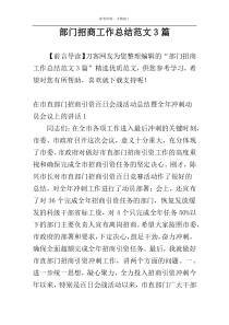 部门招商工作总结范文3篇