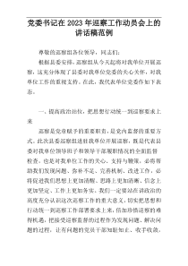 党委书记在2023年巡察工作动员会上的讲话稿范例