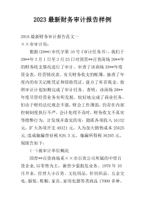 2023最新财务审计报告样例
