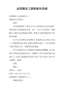 试用期员工辞职报告范例
