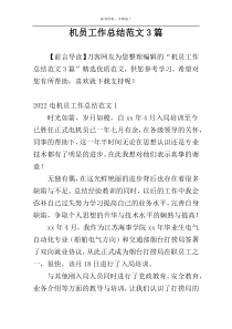 机员工作总结范文3篇