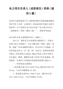 电力项目负责人（述职报告）范例（通用5篇）