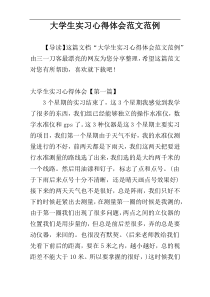 大学生实习心得体会范文范例