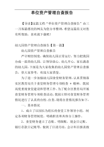 单位资产管理自查报告