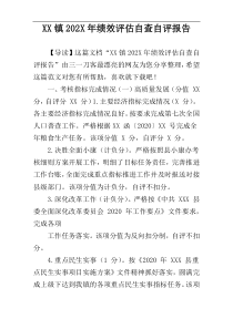 XX镇202X年绩效评估自查自评报告
