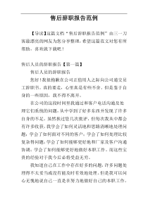 售后辞职报告范例