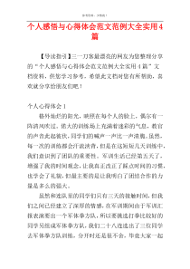 个人感悟与心得体会范文范例大全实用4篇