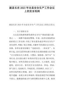 副县长在2023年全县安全生产工作会议上的发言范例
