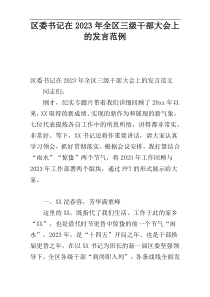 区委书记在2023年全区三级干部大会上的发言范例