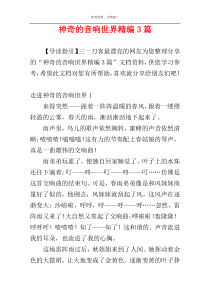 神奇的音响世界精编3篇