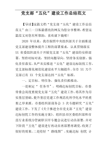 党支部“五化”建设工作总结范文