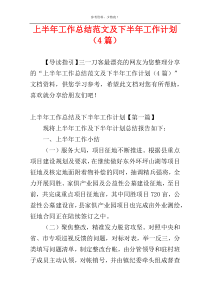 上半年工作总结范文及下半年工作计划（4篇）