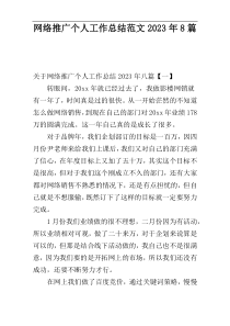 网络推广个人工作总结范文2023年8篇