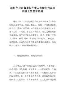 2023年公司董事长在市人大新任代表培训班上的发言范例