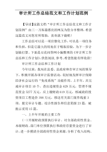审计所工作总结范文和工作计划范例