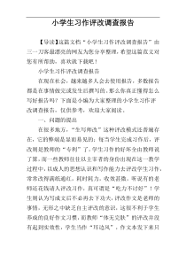 小学生习作评改调查报告