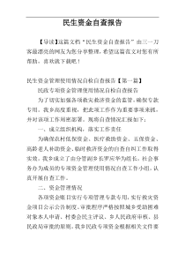 民生资金自查报告
