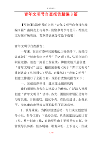 青年文明号自查报告精编3篇
