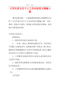大学生班主任个人工作总结范文精编4篇