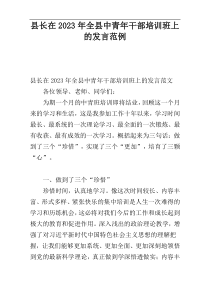 县长在2023年全县中青年干部培训班上的发言范例