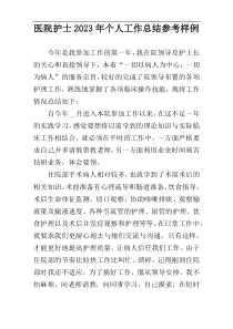 医院护士2023年个人工作总结参考样例