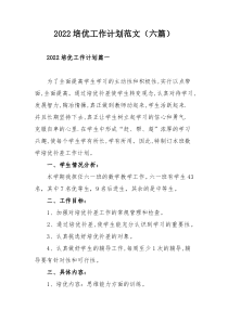 2022培优工作计划范文（六篇）