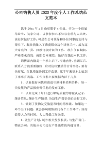 公司销售人员2023年度个人工作总结范文范本