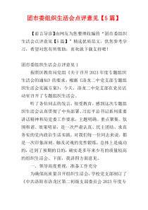 团市委组织生活会点评意见【5篇】