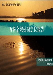 万科金域松湖定位报告(世联)XXXX-65页
