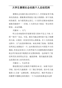 大学生暑期社会实践个人总结范例