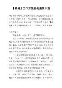 【精编】工作方案样例集聚5篇