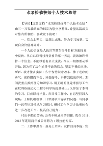 水泵检修技师个人技术总结
