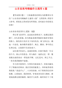 山东省高考精编作文通用4篇