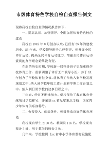 市级体育特色学校自检自查报告例文