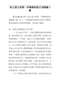 幼儿园大班第一学期教研组计划精编3篇