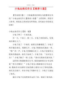 小兔运南瓜作文【推荐5篇】