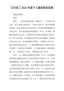 公司员工2023年度个人离职报告范例