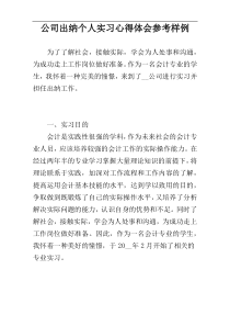 公司出纳个人实习心得体会参考样例