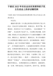 干部在2023年市农业农村局领导班子民主生活会上的讲话稿范例