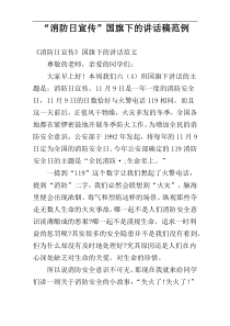 “消防日宣传”国旗下的讲话稿范例